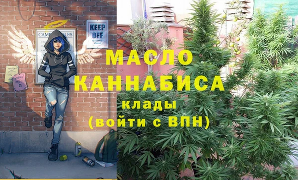 соль ск Михайлов
