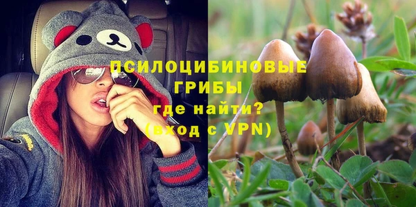 соль ск Михайловск